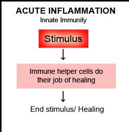 inflammation